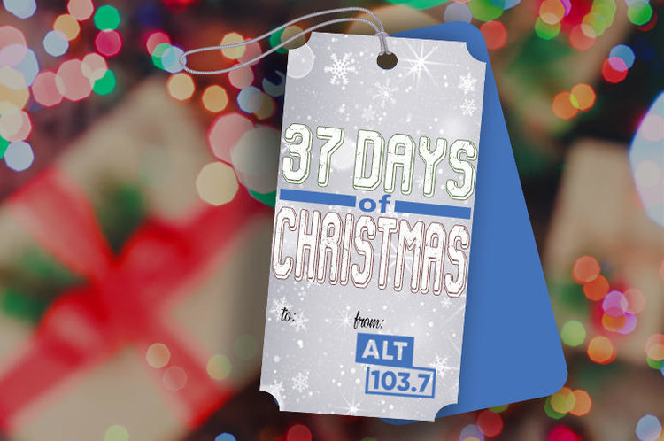 Fortress Solutions ALT 37 Days of Christmas